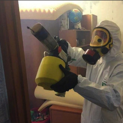 Уничтожение клопов в квартире. Зеленокумск